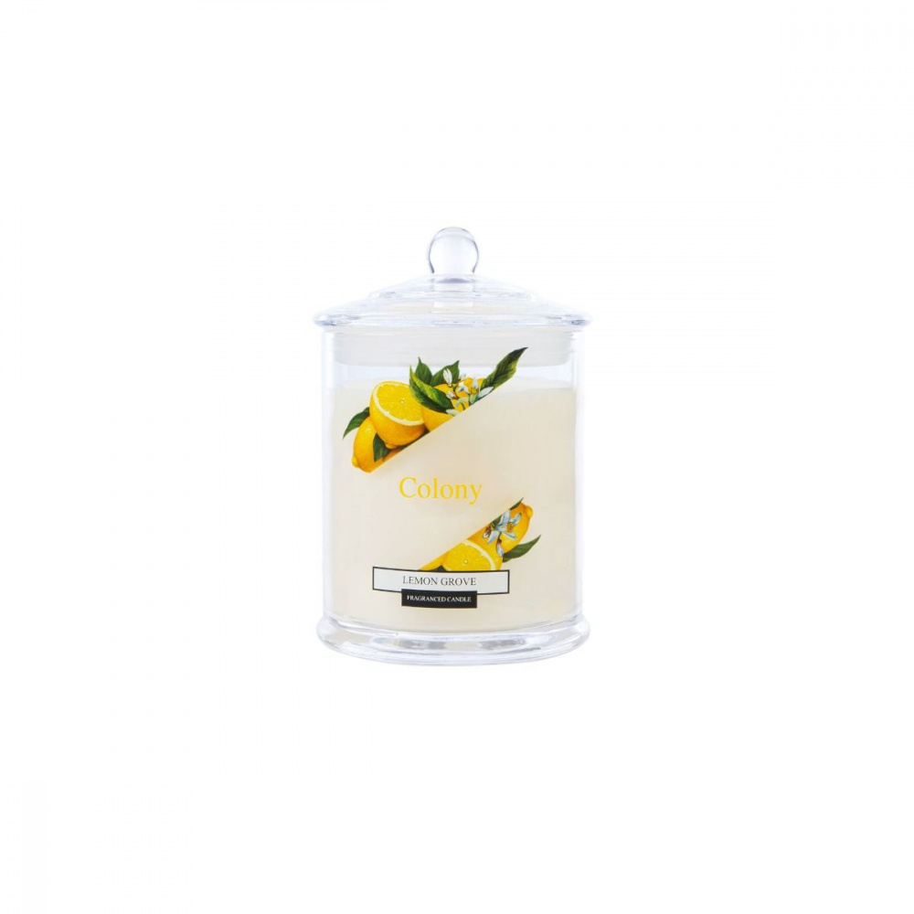 Лимонный сад Wax Lyrical ароматическая свеча  