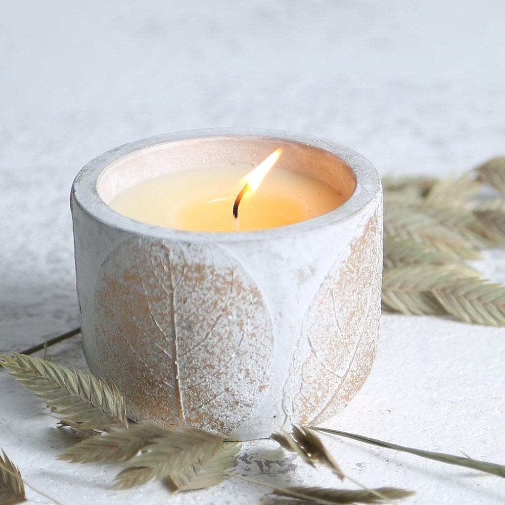 Инжир St Eval candle ароматическая свеча в керамике мал.  